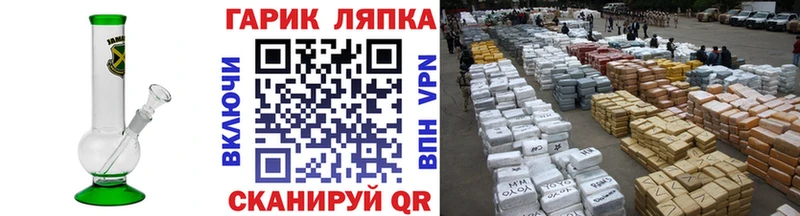 ГАШ Изолятор  Сураж 