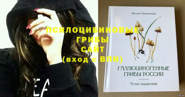 хмурый Новозыбков