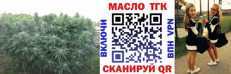 Дистиллят ТГК концентрат  MEGA ONION  Сураж  где купить наркоту 