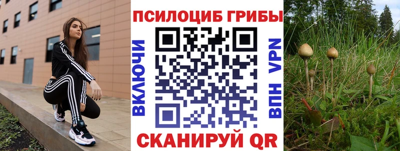 Псилоцибиновые грибы Psilocybe  ссылка на мегу ТОР  Сураж 
