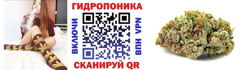 Бошки марихуана Ganja  MEGA ONION  Сураж 